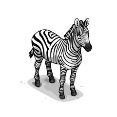 Zebra, vector graphic, 2D flat isometric cartoon illustration on white background.

