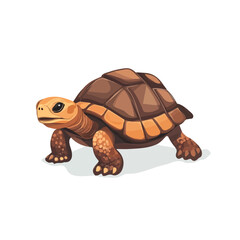 Tortoise, cartoon vector illustration, flat 2D isometric style, white background.