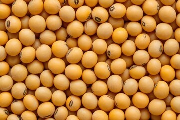 A Dense Collection of Yellow Soybeans Showcasing Their Organic Texture and Natural Color Variation in a Bright, Foraging Scene