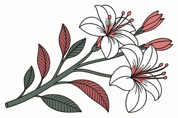 vector illustration of a floral background