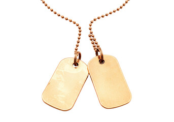Isolated military dog tags with chain, identity badge, blank nameplate, no background