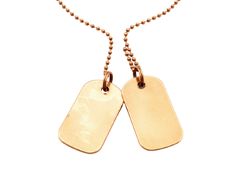 Isolated military dog tags with chain, identity badge, blank nameplate, no background