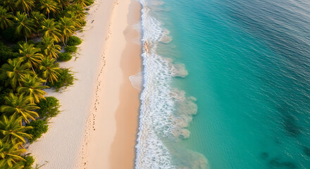 Aerial view of a tropical beach with palm trees and turquoise water