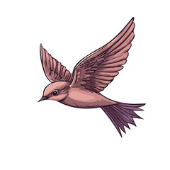 Swiftlet, vector graphic, 2D flat isometric cartoon illustration on white background.
