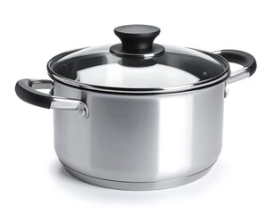 Stainless steel pot with lid (2)