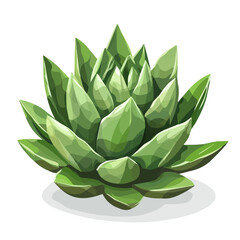 Agave, flat 2D isometric cartoon vector image isolated on white background.