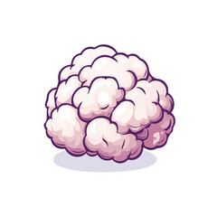 Cauliflower, 2D isometric flat cartoon vector illustration isolated on white background.