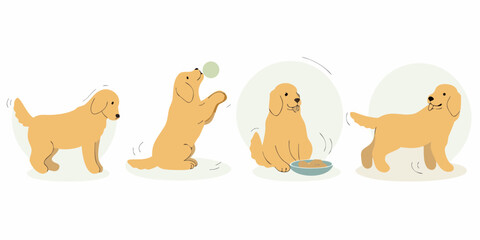 Four stages of a happy golden retriever dog s day showing playtime and mealtime