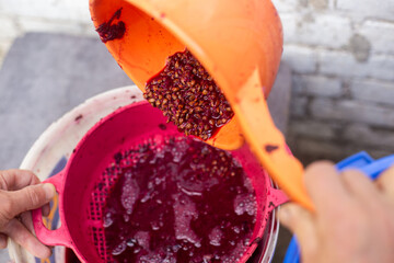 Crushed grapes are pressed through a sieve to obtain juice or wine