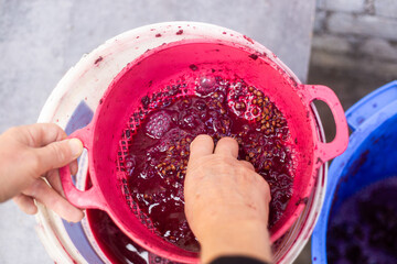 Hands pushing crushed grapes through a sieve to extract juice, demonstrating the manual process of...