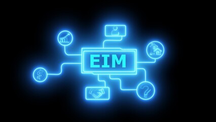Blue neon E I M flowchart with finance people and house icons