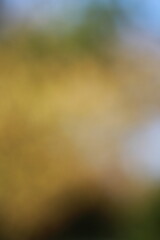abstract background with bokeh