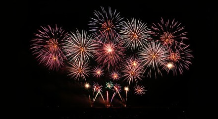 Fireworks display bursting against dark night sky with bright colors