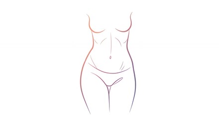 Human body line art illustration female anatomy design silhouette concept
