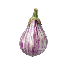 Fototapeta premium Vibrant Purple Eggplant with Stripes, Fresh and Organic for Culinary Use on transparent background