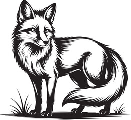 Obraz premium A beautifully detailed black and white graphic illustration of a cunning fox with a bushy tail, rendered in a striking linocut style