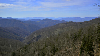 Winter landscape with bare forests and endless mountain ranges. Apuseni Mountains, Transylvania.