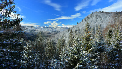 Snowy landscape in the Carpathian Mountains on a sunny day.