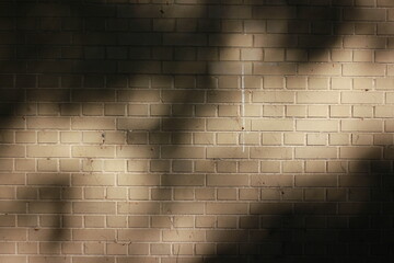 The shadows of the leaves on the trees falling on the typical beige brick wall.