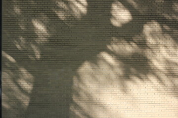 The shadows of the leaves on the trees falling on the typical beige brick wall.