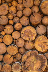 Firewood background. Wooden texture. Hardwood for winter.

