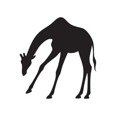 Silhouette of a Giraffe Bending Down Grazing in Black and White Minimalist Depiction of an African Animal