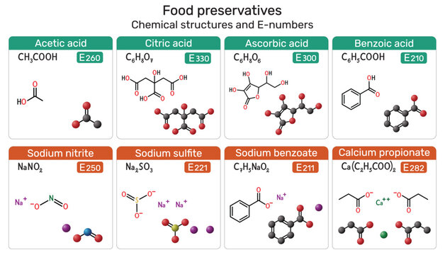 Food preservatives. Acetic, citric acid, ascorbic acid, benzoic acid, sodium nitrite, sodium sulfite, sodium benzoate, calcium propionate