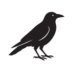 A Majestic Silhouette of a Crow Standing Tall with a Minimalist Aesthetic Depicting Nature and Wildlife Artistically