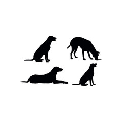 Four black dog silhouettes in different poses on white background vector