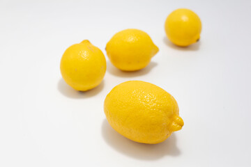 Cytryny na białym studyjnym tle