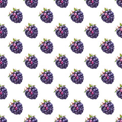 Blackberry seamless watercolor pattern with ripe berries and delicate leaves. White background design for natural branding and packaging projects