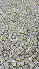Fototapeta premium Close-up view of a cobblestone pavement featuring a wavy pattern. The stones are interspersed with grass, creating a natural landscape texture.