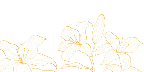 lily flowers in golden line art illustration, elegant floral design