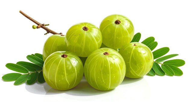 Fresh, vibrant green amla fruits cluster with leaves and stems displayed against a bright white background.