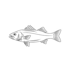 Minimal sea bass marine animal illustration © MdMizanur