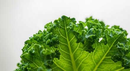 Isolated on white background, a fresh green kale leaf with detailed veins and a ruffled edge, highlighting its healthy properties