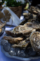 Fresh oysters on ice served. A gourmet delicacy perfect for a luxury dining experience or coastal-themed event.