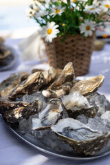 Open oysters on ice, ready to be served at an elegant outdoor seafood display with a metal bucket and daisies in the background.