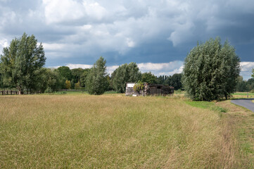 Fototapeta premium Agriculture fields at the countryside in Hamme, East Flanders, Belgium