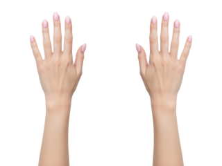 Two woman hands with extended fingers, smooth skin, polished nails, symmetry, balance, natural elegance, minimal beauty. display mockup for jewelry and watches. Transparanet background