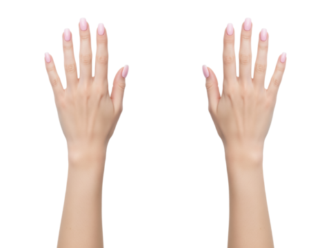 Two woman hands with extended fingers, smooth skin, polished nails, symmetry, balance, natural elegance, minimal beauty. display mockup for jewelry and watches. Transparanet background