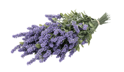 a bunch of fresh lavender flowers bouquet isolated on white background, premium wedding floral decor for elite weddings 