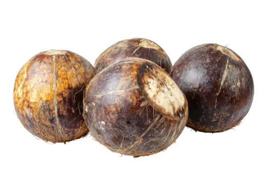 Ripe coconuts with textured brown husks isolated on transparent background. Delicious coconuts isolated on white background.