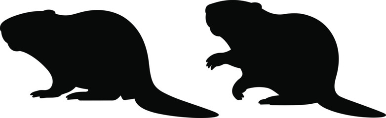 Full black silhouette of a beaver in different poses on a white background, vector illustration of an animal, wildlife, and nature themes © Hasem Creative