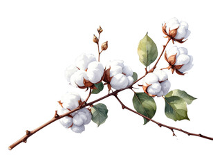 Watercolor Painting of Cotton Plant Branch with White Bolls and Green Leaves Against Stormy Sky, Artistic Style, Isolated