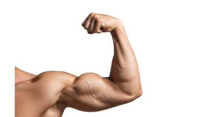 PNG of a muscular male arm flexing, detailed muscles, transparent background
