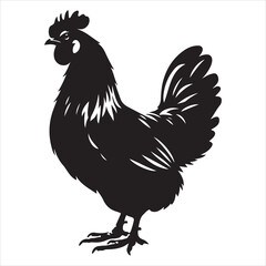 siting Hen Silhouette Vector Art, and Graphic, vector black colour silhouette ,white colour background 
