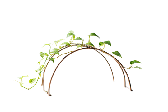 A stylized, arching vine with vibrant green leaves - Powered by Adobe