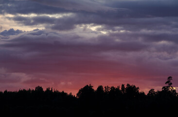 Colorful sunset sky with shades of purple, pink, and gray above dark forest silhouette