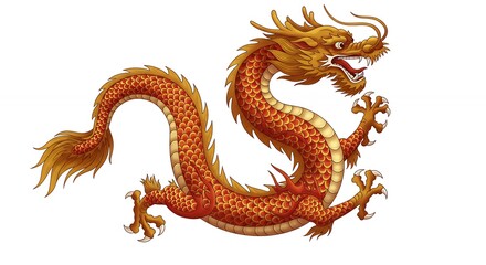 Fototapeta premium Illustration of a stylized dragon in gold and red on white background